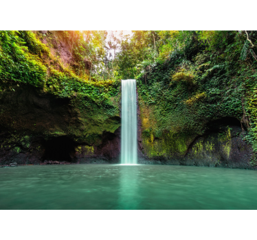 Fotomurali cascate fuga in una cascata serena - TenStickers