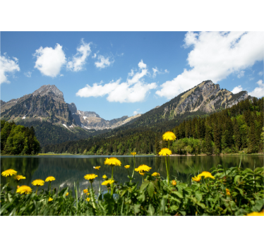 Fotomurale paesaggi vista lago di montagna - TenStickers