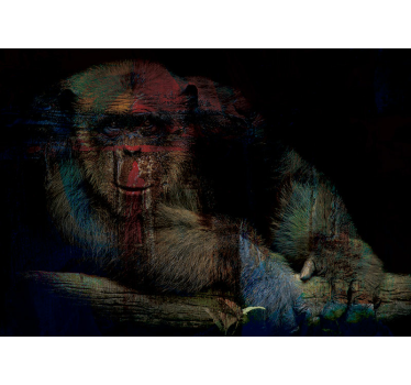Fotomurale animali misterioso volto di primate - TenStickers