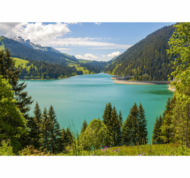 Fotomurale città Montagne del fiume svizzera - TenStickers