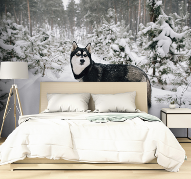 Fotomurale foresta invernale e cane husky - TenStickers