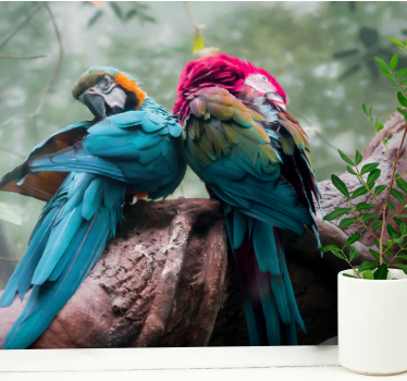 Fotomurale animali abbraccio di pappagalli colorati - TenStickers