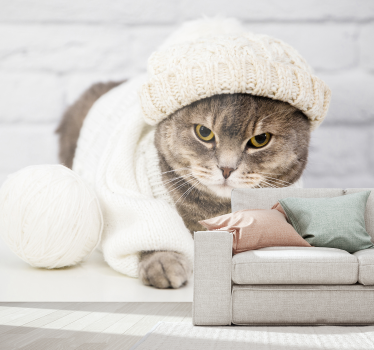 Fotomurale animali accogliente gatto lavorato a maglia - TenStickers