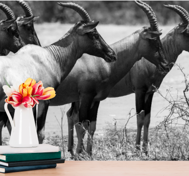 Fotomurale animali branco di antilopi africane - TenStickers