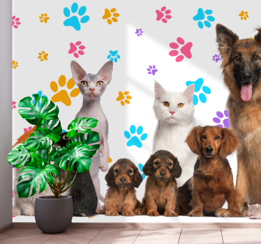 Fotomurale animali compagni felici di casa - TenStickers