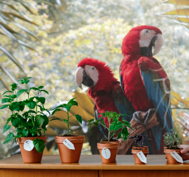 Fotomurale animali coppia di ara scarlatti - TenStickers
