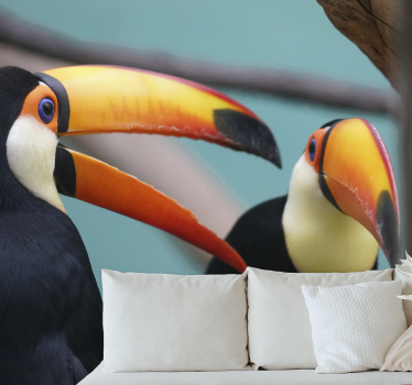 Fotomurale animali coppia di tucani - TenStickers