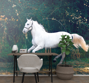 Fotomurale animali equino bianco regale - TenStickers