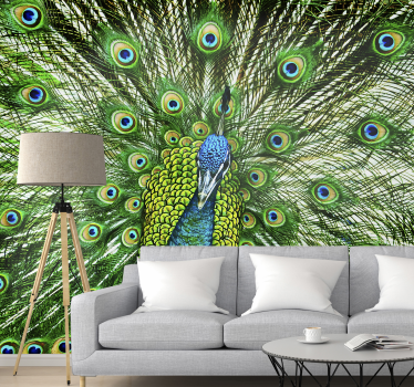 Fotomurale animali esposizione di piume di pavone - TenStickers
