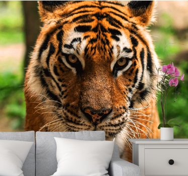 Fotomurale animali immagine di tigre regale - TenStickers