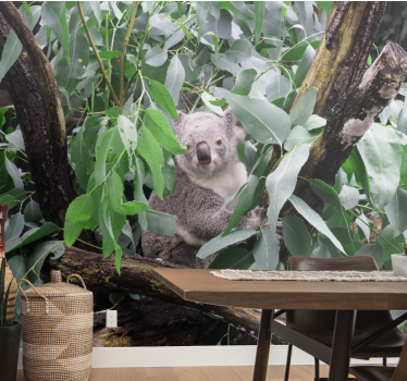 Fotomurale animali koala tra le foglie - TenStickers