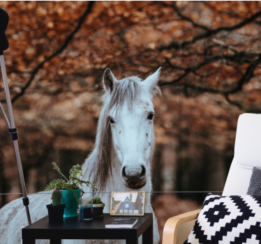 Fotomurale animali maestoso cavallo bianco - TenStickers