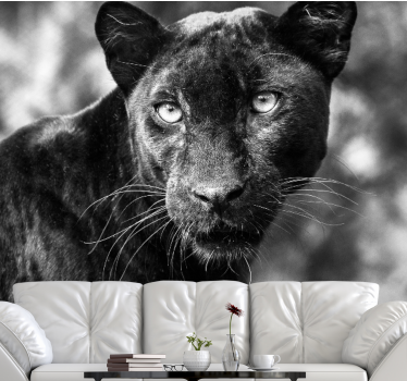 Fotomurale animali volto di pantera nera - TenStickers