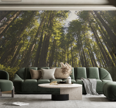 Foto murali con bosco alberi alti - TenStickers