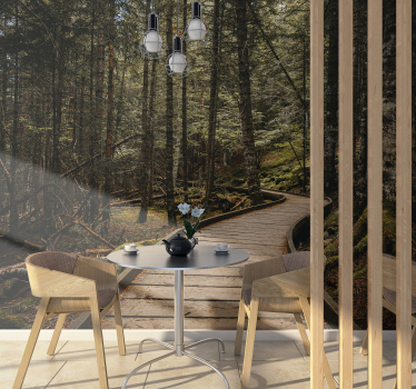 Fotomurale foresta scena sentiero boschivo - TenStickers