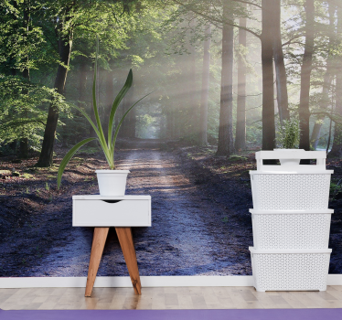 Fotomurale foresta sentiero boschivo illuminato - TenStickers