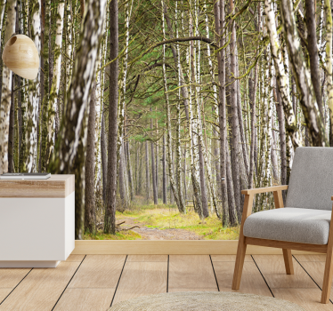 Fotomurale foresta sentiero boscoso sereno - TenStickers
