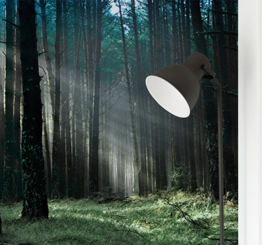 Fotomurale foresta sentiero della foresta radiosa - TenStickers