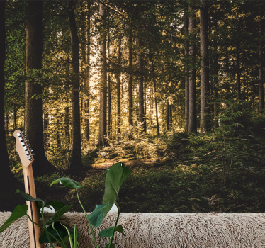 Fotomurale foresta sentiero luminoso nella foresta - TenStickers