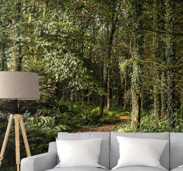 Fotomurale foresta sentiero lussureggiante - TenStickers