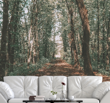 Fotomurale foresta sentiero nel bosco sereno - TenStickers