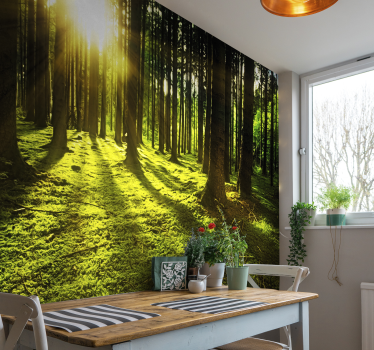 Fotomurale natura foresta con raggi di sole - TenStickers