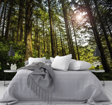 fotomurale 3d paesaggio foresta soleggiata - TenStickers