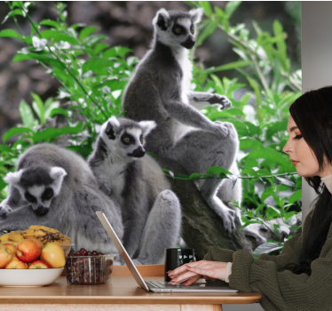 Fotomurale paesaggi Lemuri selvatici madagascar - TenStickers