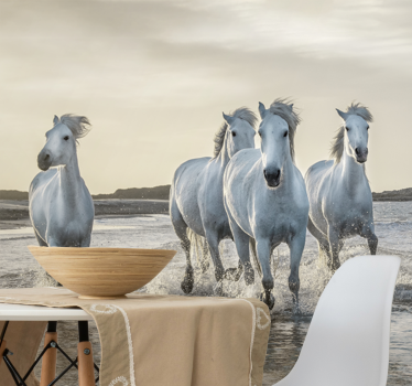 Fotomurale con differenti animali cavalli bianchi e marroni che c - TenStickers