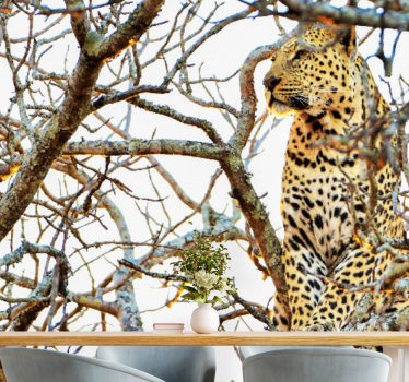 Fotomurali animali diversi leopardo tra i rami - TenStickers