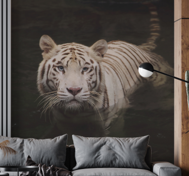 Fotomurali animali diversi sguardo di tigre bianca - TenStickers