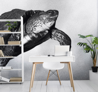Fotomurali animali diversi tartaruga che nuota - TenStickers