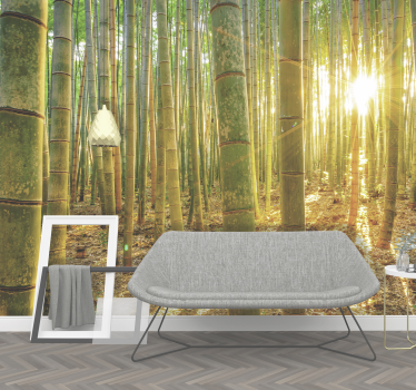 Fotomurale paesaggi foresta con sole - TenStickers