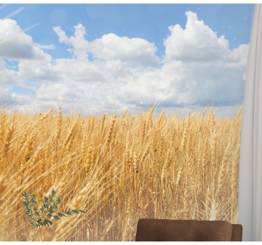 Fotomurali natura campo di grano dorato - TenStickers