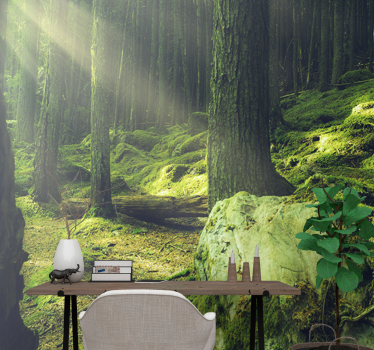 Fotomurali natura luce del sole tra gli alberi - TenStickers