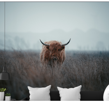 Fotomurali natura mucca marrone delle highlands - TenStickers