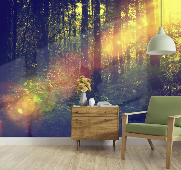Fotomurali natura profondità della foresta illuminata - TenStickers