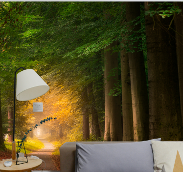 Fotomurali natura scena del sentiero nel bosco - TenStickers