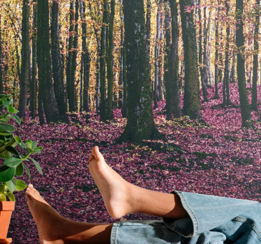 Fotomurali natura scena di foresta serena - TenStickers