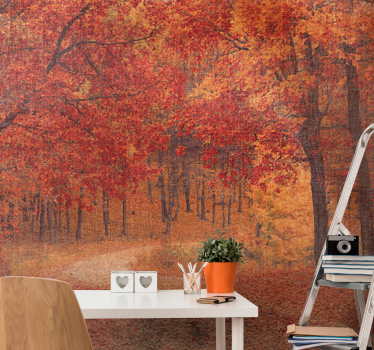 Fotomurali natura sentiero autunnale rustico - TenStickers