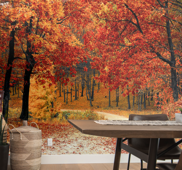 Fotomurali natura sentiero boschivo d'autunno - TenStickers