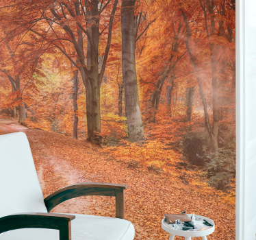 Fotomurali natura sentiero d'autunno - TenStickers