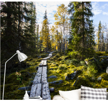 Fotomurali natura sentiero della foresta tranquilla - TenStickers