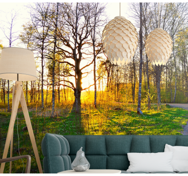 Fotomurali natura sentiero nel bosco soleggiato - TenStickers