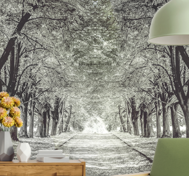Fotomurali natura sentiero sereno tra gli alberi - TenStickers