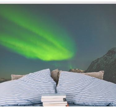 Fotomurali natura vetrina delle luci del nord - TenStickers