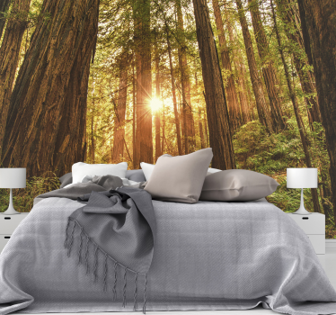 Fotomurale alberi bosco all'alba - TenStickers