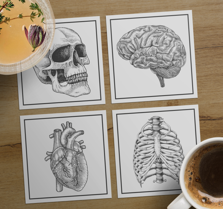 Sottobicchieri nerd teschio anatomico cervello cuore - TenStickers