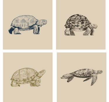 Sottobicchieri vintage illustrazioni tartaruga retrò - TenStickers
