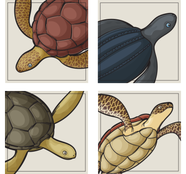 Sottobicchieri nerd illustrazioni di tartarughe colorate - TenStickers